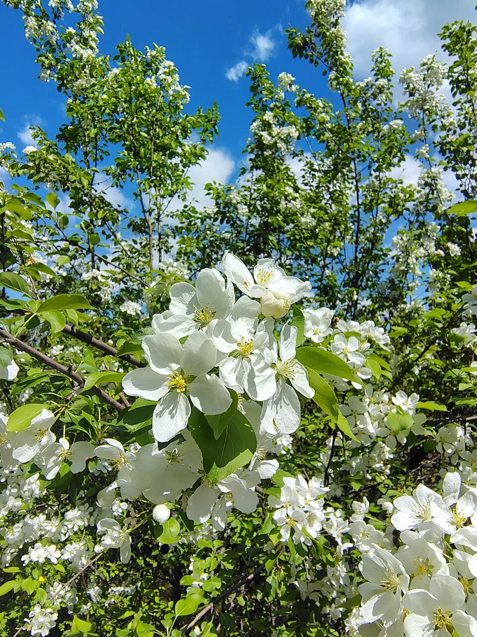 Какая красота 😍

Предложить пост в ПВК
