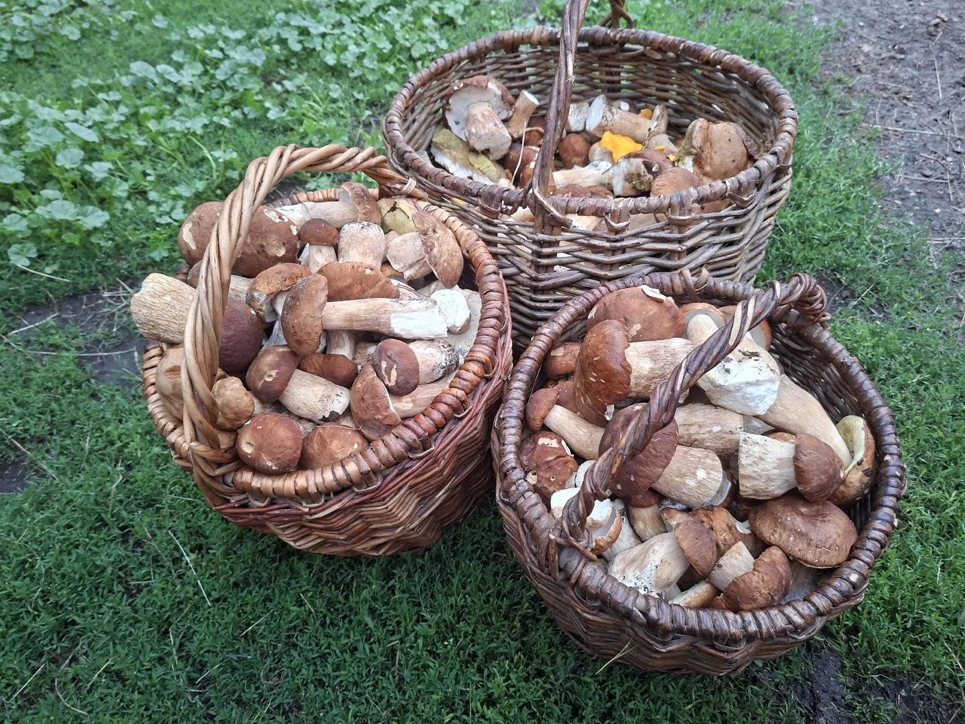 Сасовский  район  25.07.26