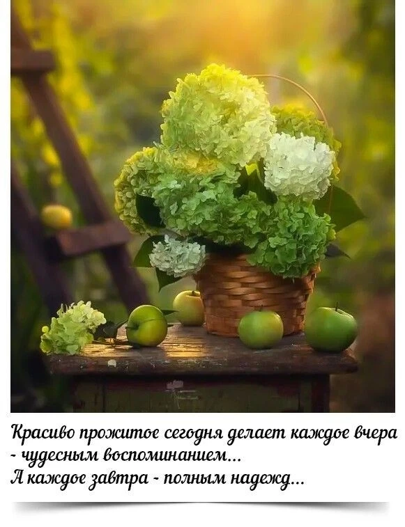 💚💚💚