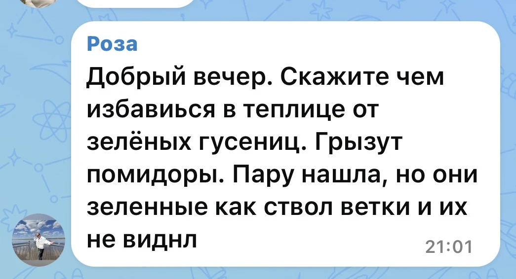 Если гусениц немного — собирайте их вручную, они хорошо маскируются. Если вредителей уже много, обра
