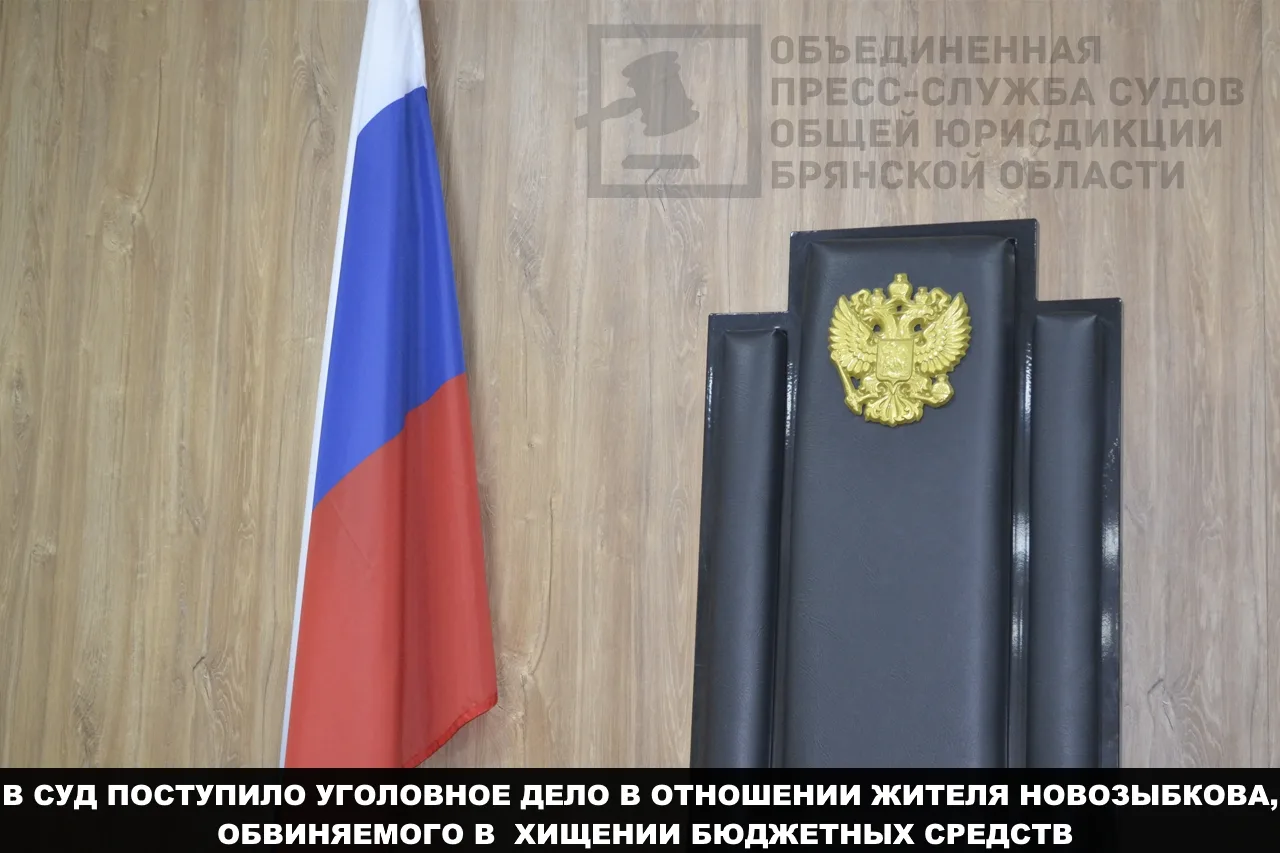 В Новозыбковский городской суд поступило уголовное дело в отношении местного жителя, обвиняемого в с