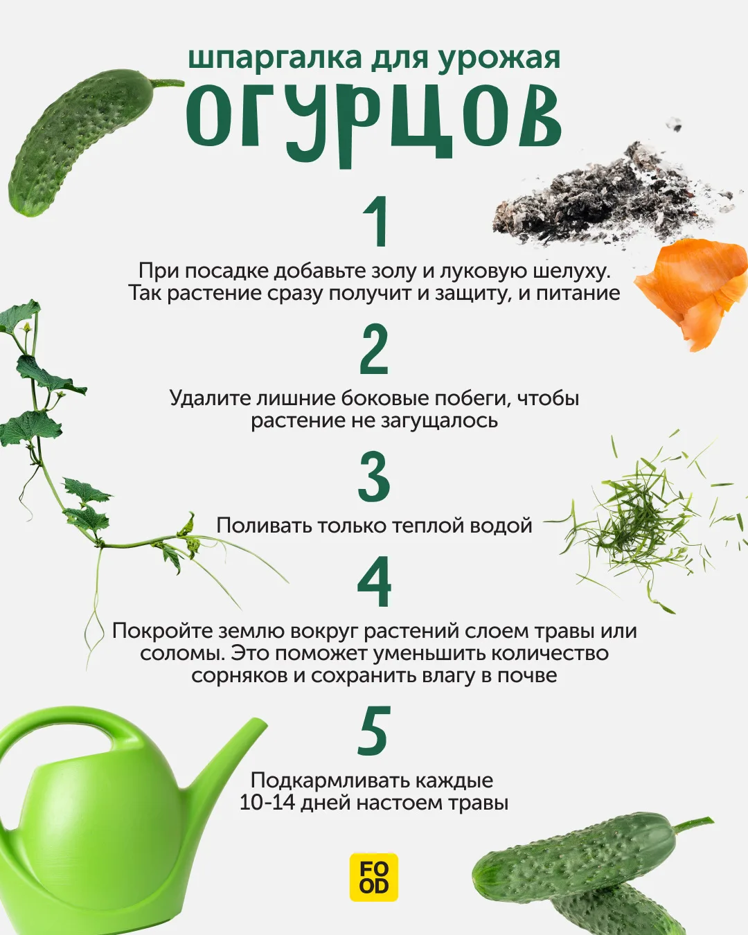 Вы цены на огурцы видели? 🥒  Пришло время выделить на этот прекрасный овощ на пару грядок больше. Те