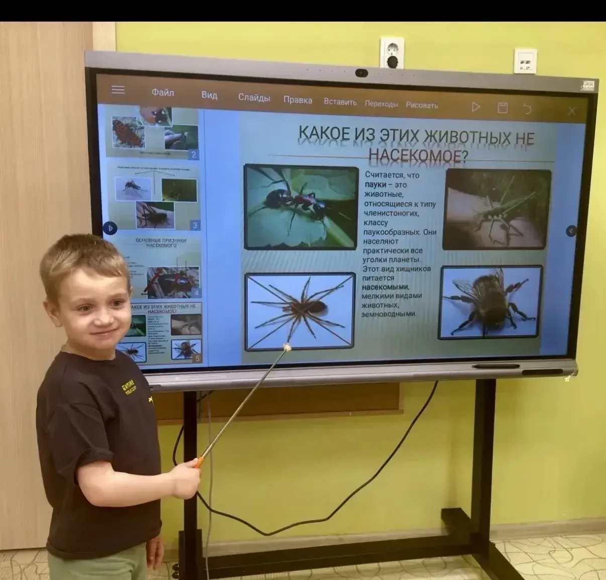 🐝🐛 В старшей группе «Медный всадник» прошла незабываемая неделя, посвященная насекомы...