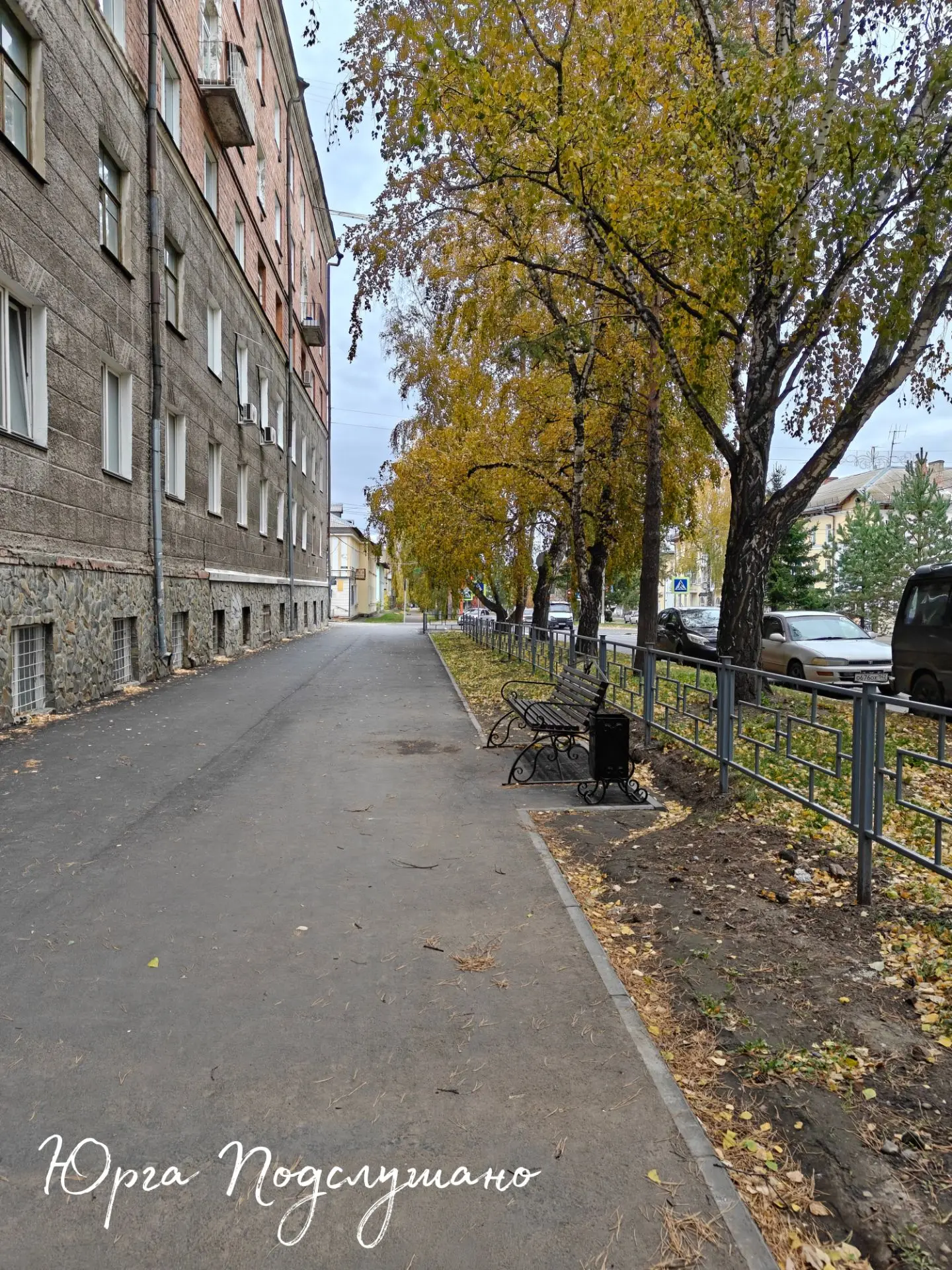 Хорошего дня, юргинцы! 🍁🍂