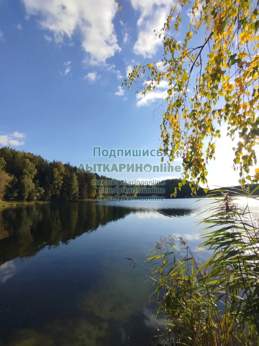 Осень 😍