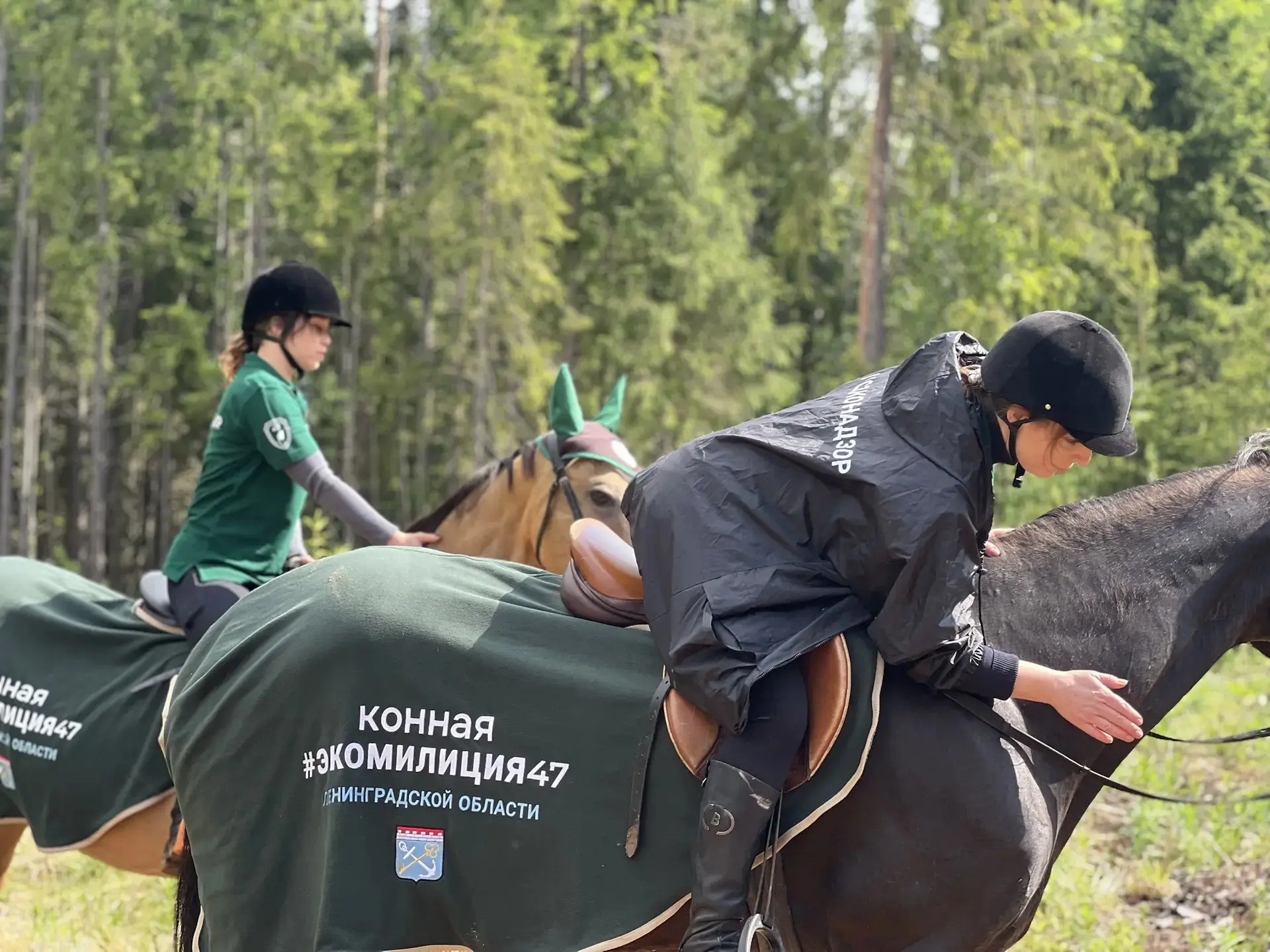В Гатчинском округе впервые представили конную экомилицию.