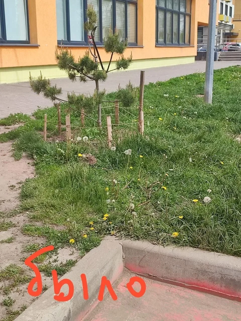Когда с любовью подходишь ко всему живому, то оно расцветает пышным цветом.