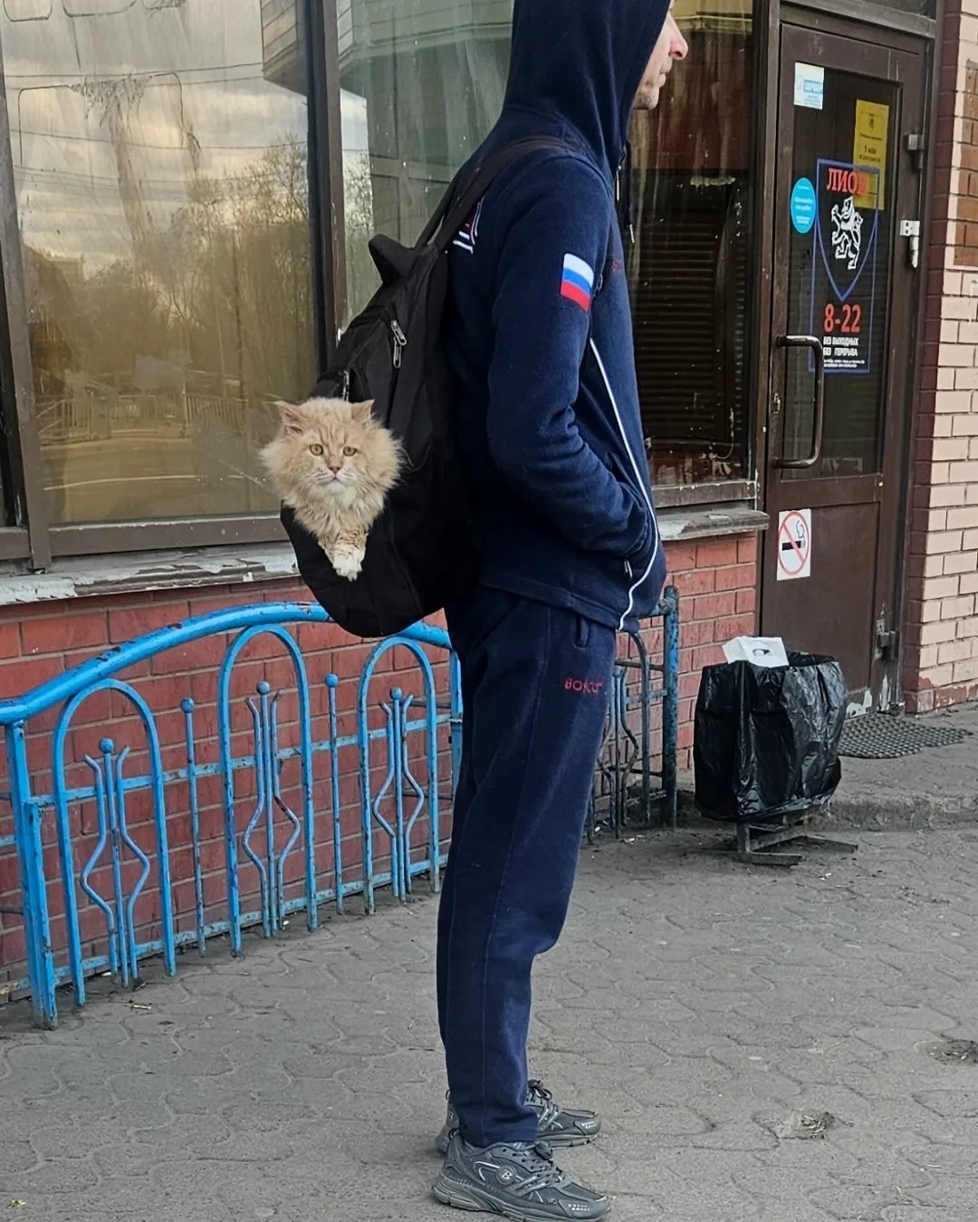 Милота...)))