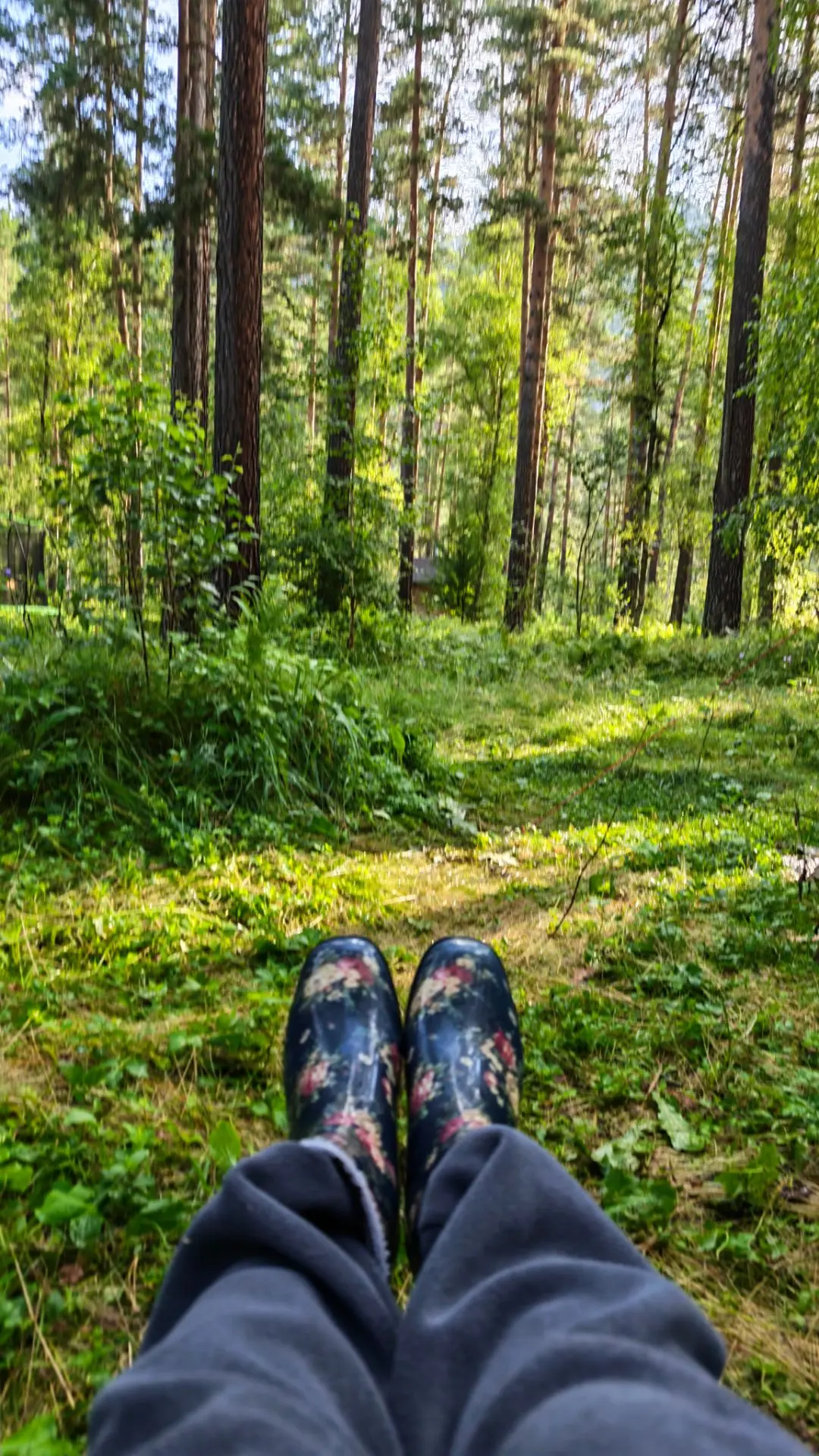 ⛺ Неделя в палаточном лагере на Горном Алтае — как мы тут поживаем.

Вот уже ровно неделю мы живём з
