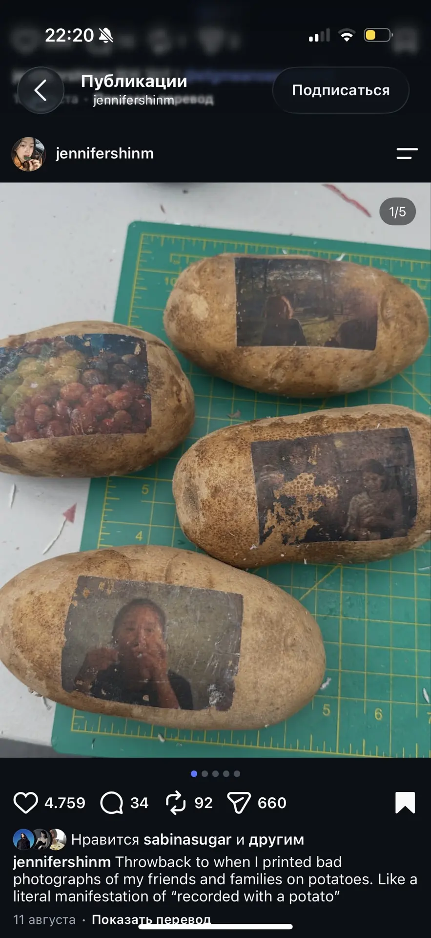 «Снято на картошку»
