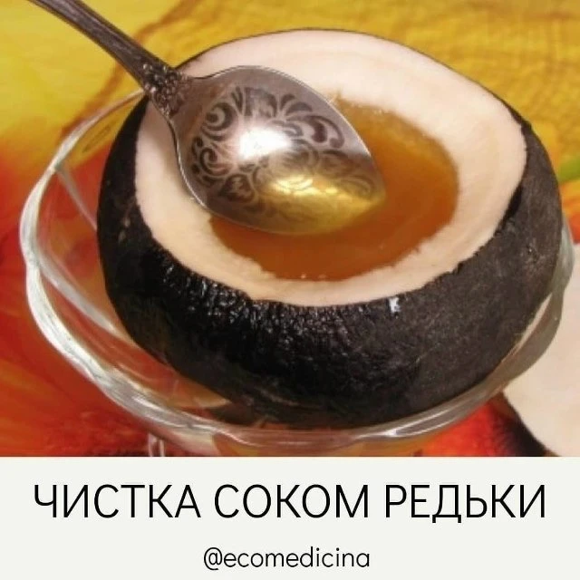 🏵🌱СОК РЕДЬКИ – НАСТОЯЩИЙ САНИТАР ОРГАНИЗМА. Во-первых, в нем содержится огромное коли...