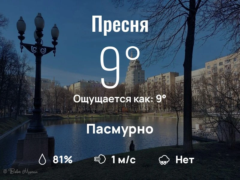 Что с погодой в Пресненском?