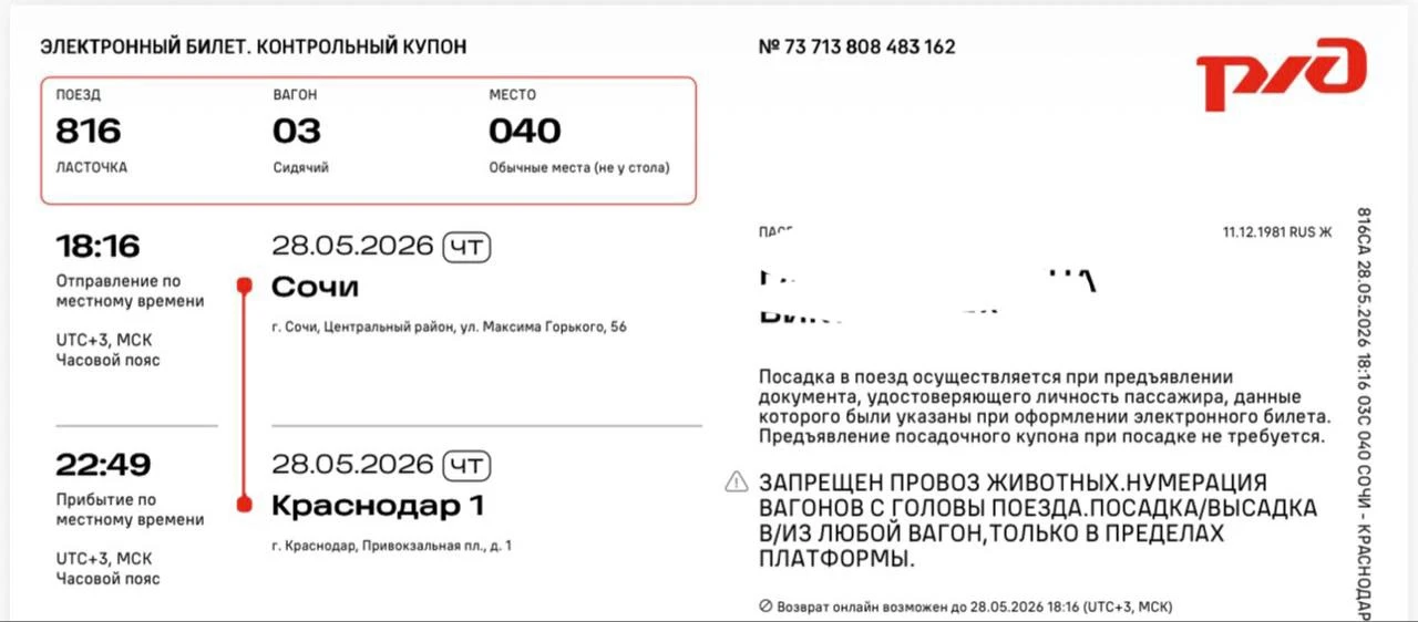 Чемодан тяжелючий.
Объявили наш поезд. Пошли на перрон.

Стоянка всего 9 минут, вокруг толпа, провод