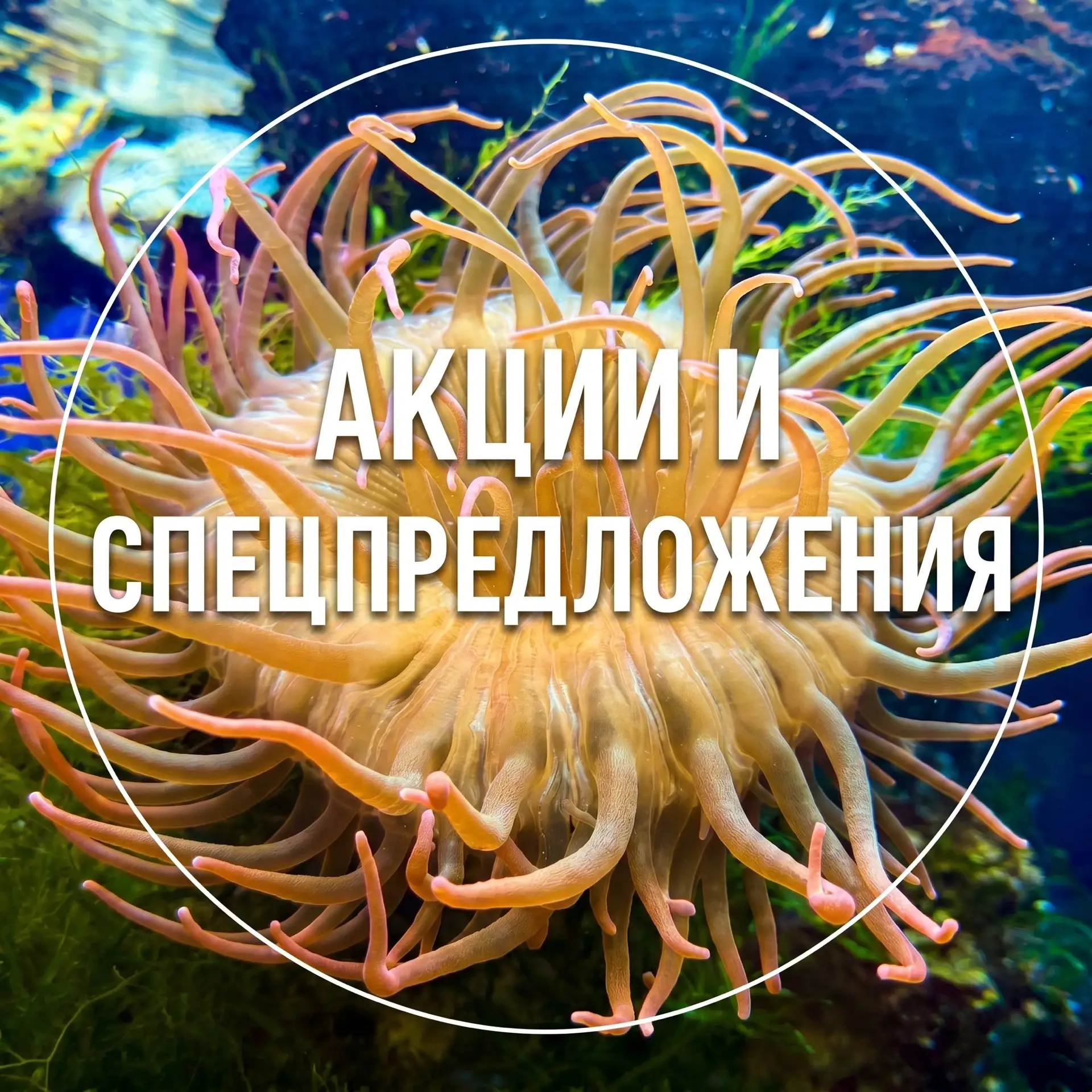 Если вы прямо сейчас читаете этот пост, это знак, что пора переходить от скроллинга лен...