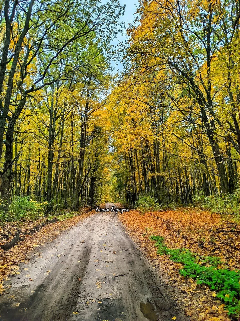 Осень 🍂 🍁