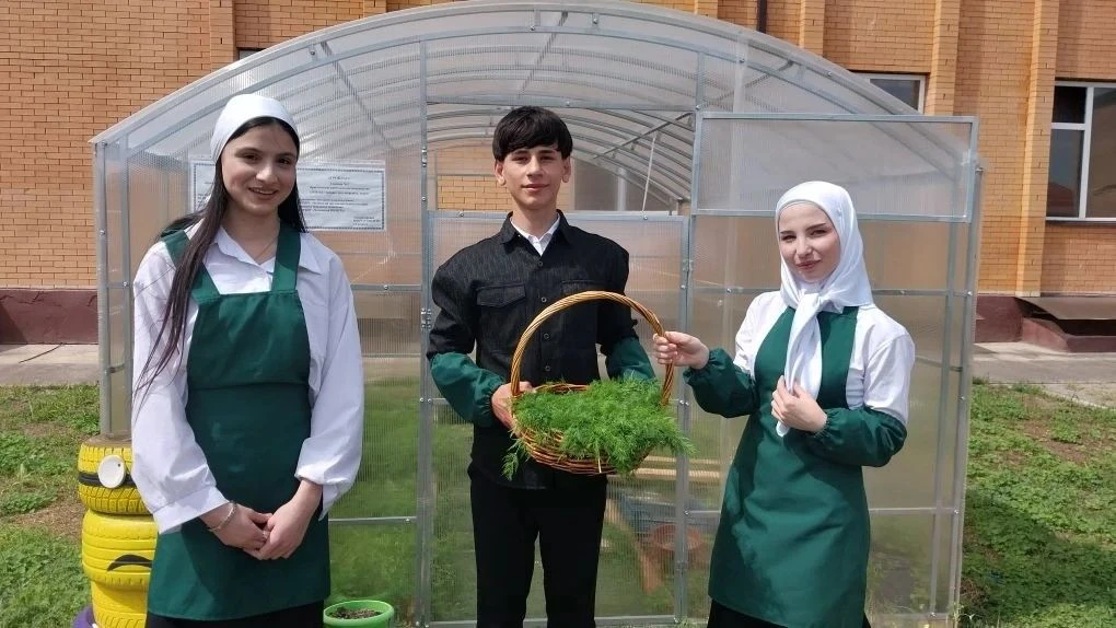 🌱 Свежий урожай — к школьному столу!