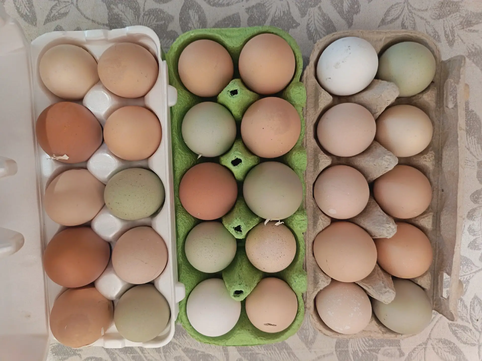 Яйца🥚 домашние  свежие 30 шт-420 р