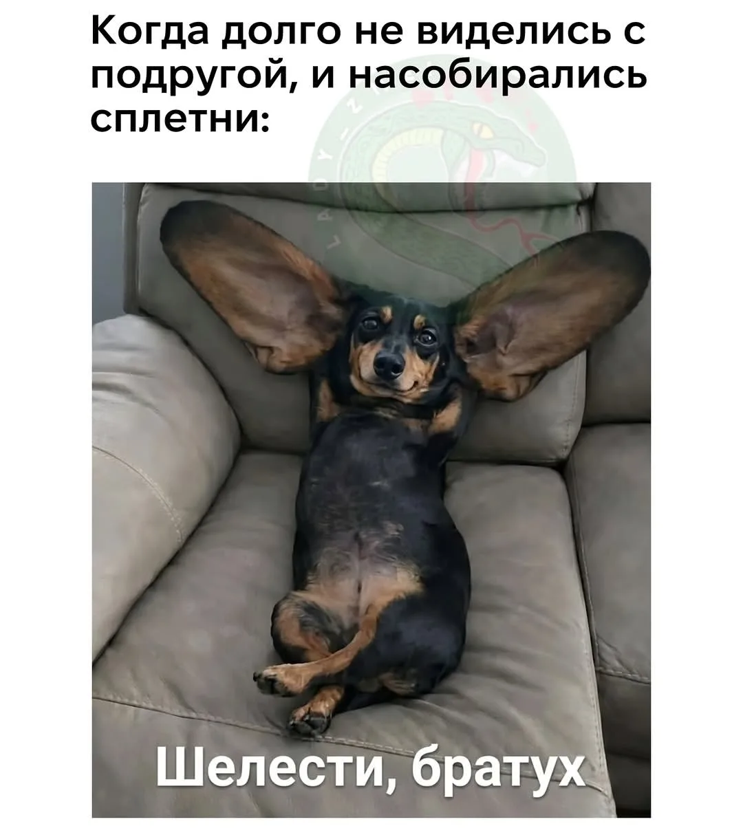 Дурилка картонная