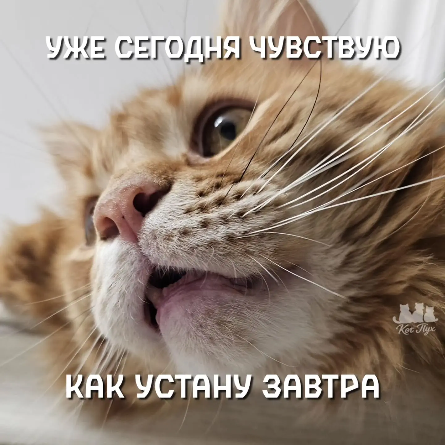 💞НеПросто Открытки💌

Добрый вечер!