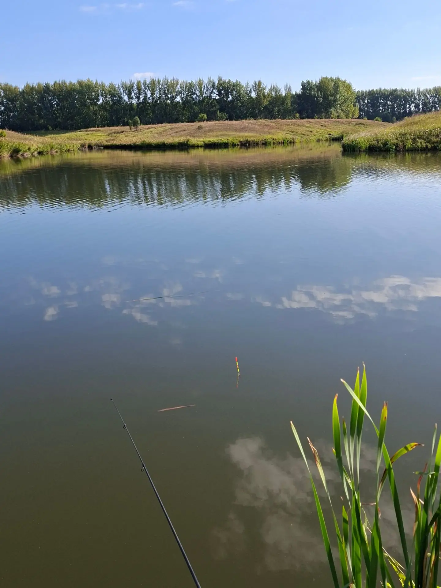 Последнее воскресенье этого лета встретили вот так🎣