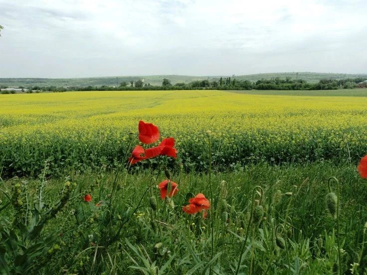 ☀☀☀2 октября. Пятница. День золотой паутинки и сладкого мёда 🍂☀️ Доброе утро жителям М...