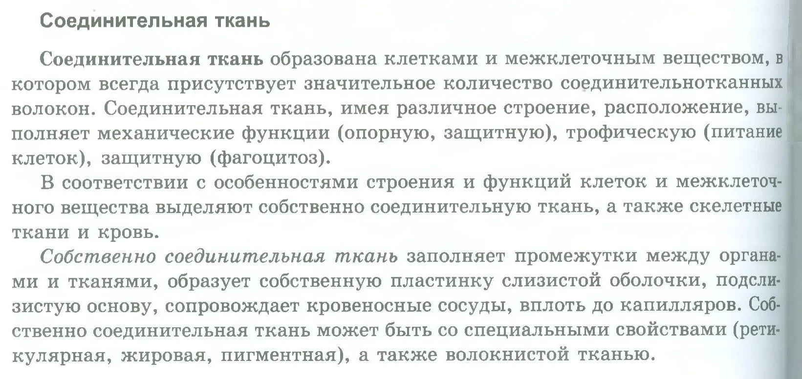 Соединительная ткань
