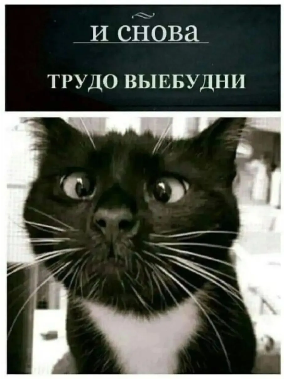 🤔😅