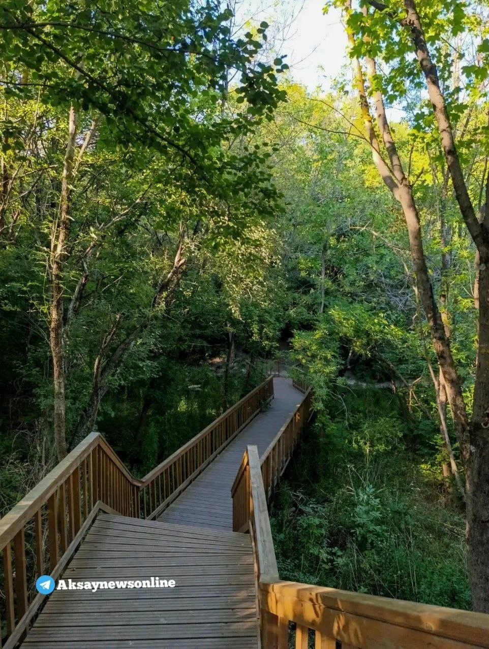 Аксай зеленый 🌿