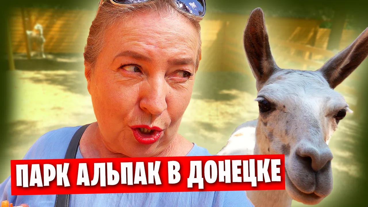 https://rutube.ru/video/e05f66bc74c2955bc01e6705230441eb/