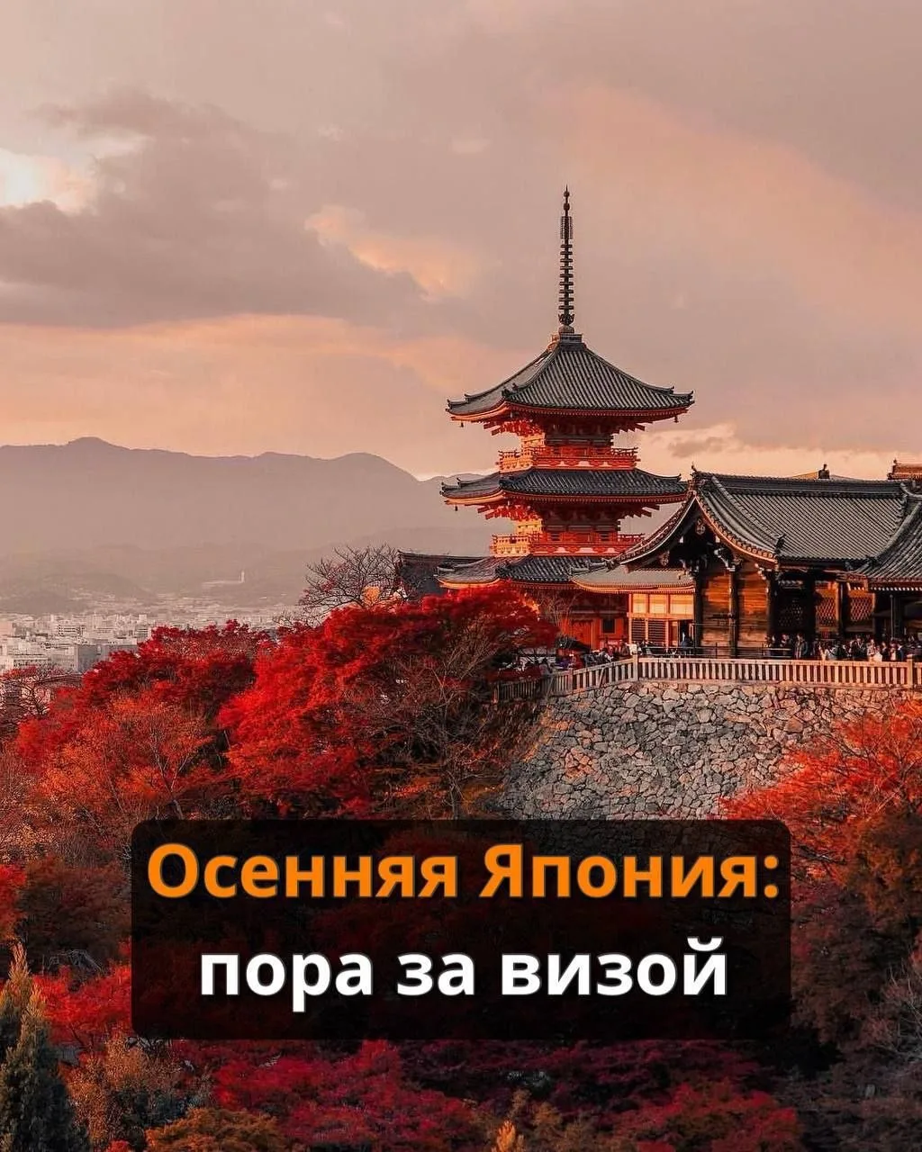 🇯🇵 В сентябре визу в Японию будут оформлять дольше