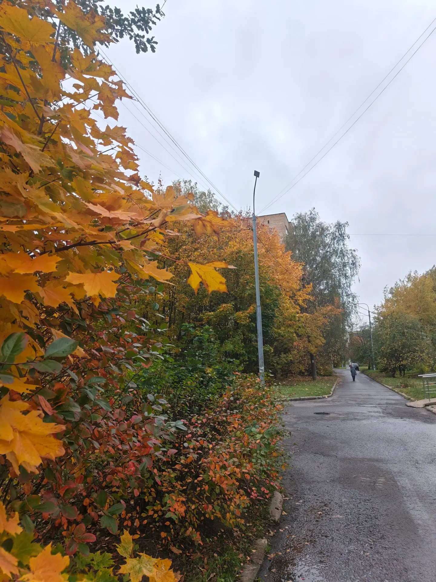 Мне кажется, я словила осеннюю хандру 🍂