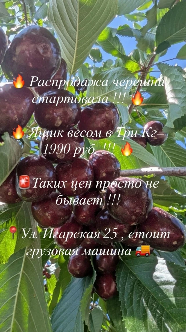 Это просто невероятно !!! Цены снижены , ниже некуда !!!🫶🥳🔥🥰🍒🍓