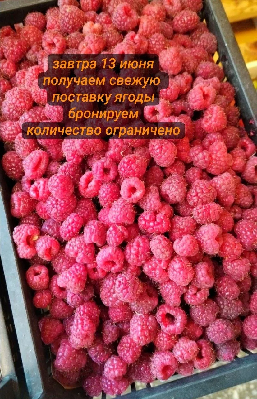 🔥 Сбор на свежую поставку. Завтра 13 июня получаем свежую ягоду. Количество ограничено...