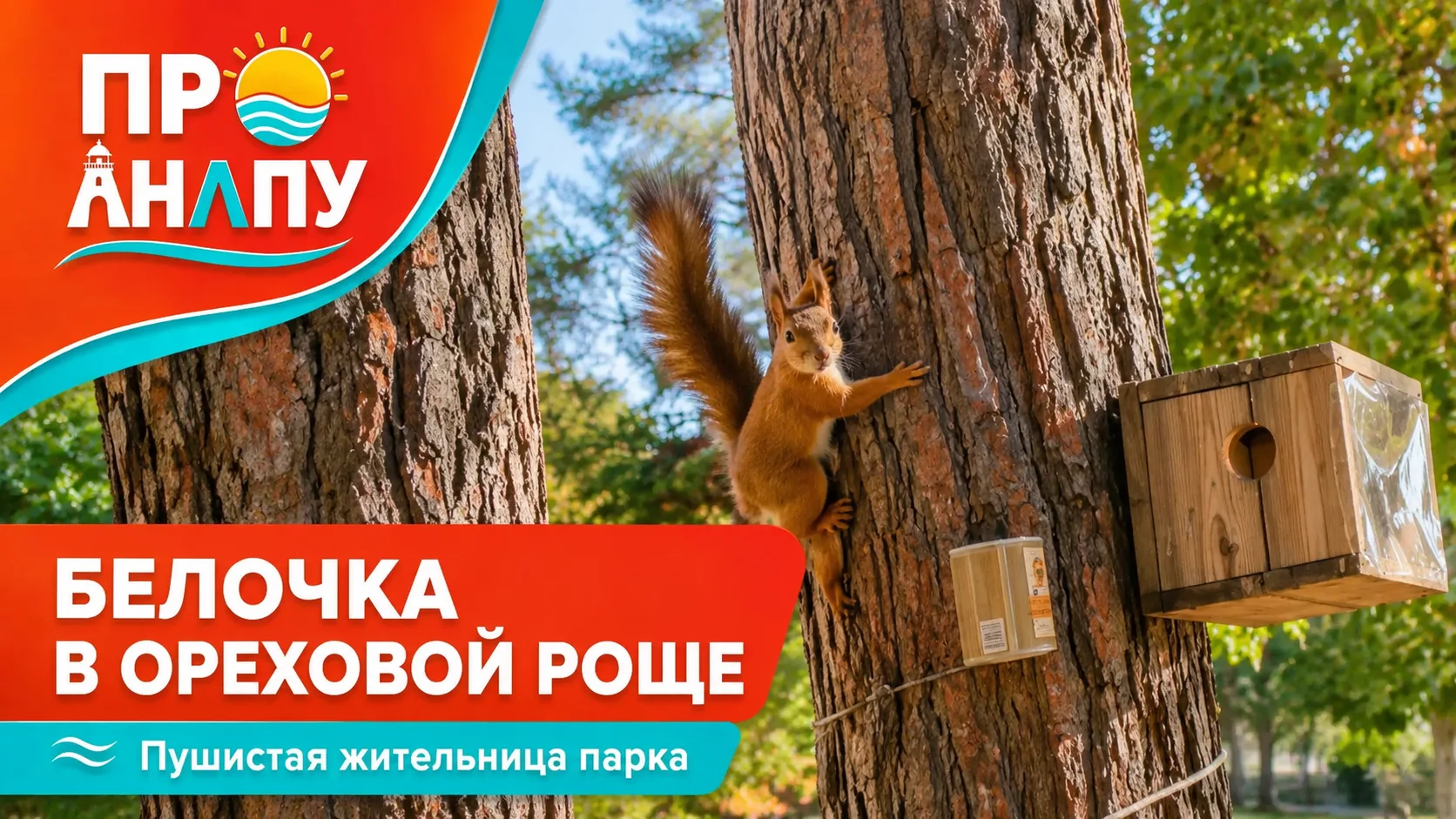🐿️ В Ореховой роще заметили одну из местных белочек.