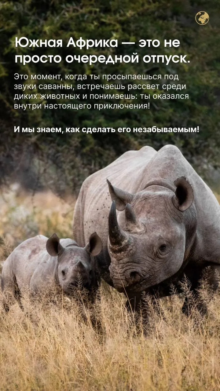 Южная Африка — это не просто путешествие. Это момент, когда ты оказываешься внутри настоящего приклю