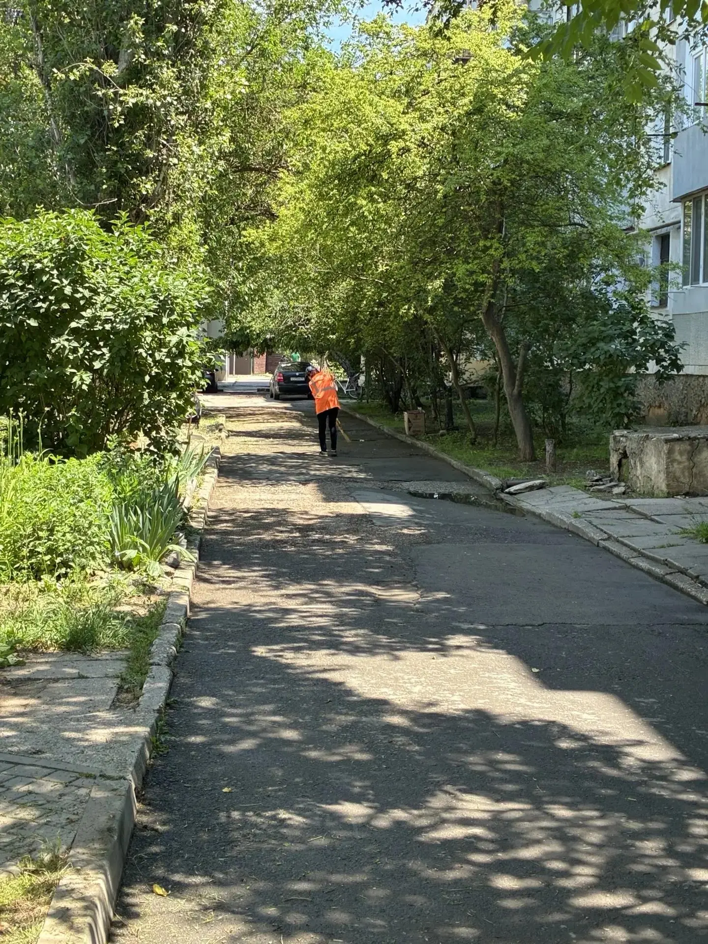 Покос травы 08.06.26 г. по ул.Строительная 16