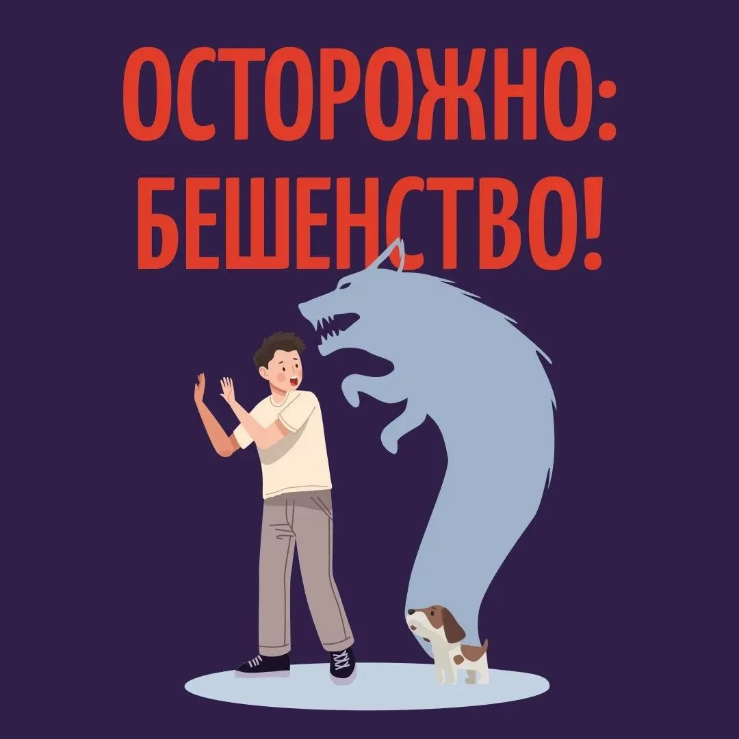 Осторожно: бешенство!