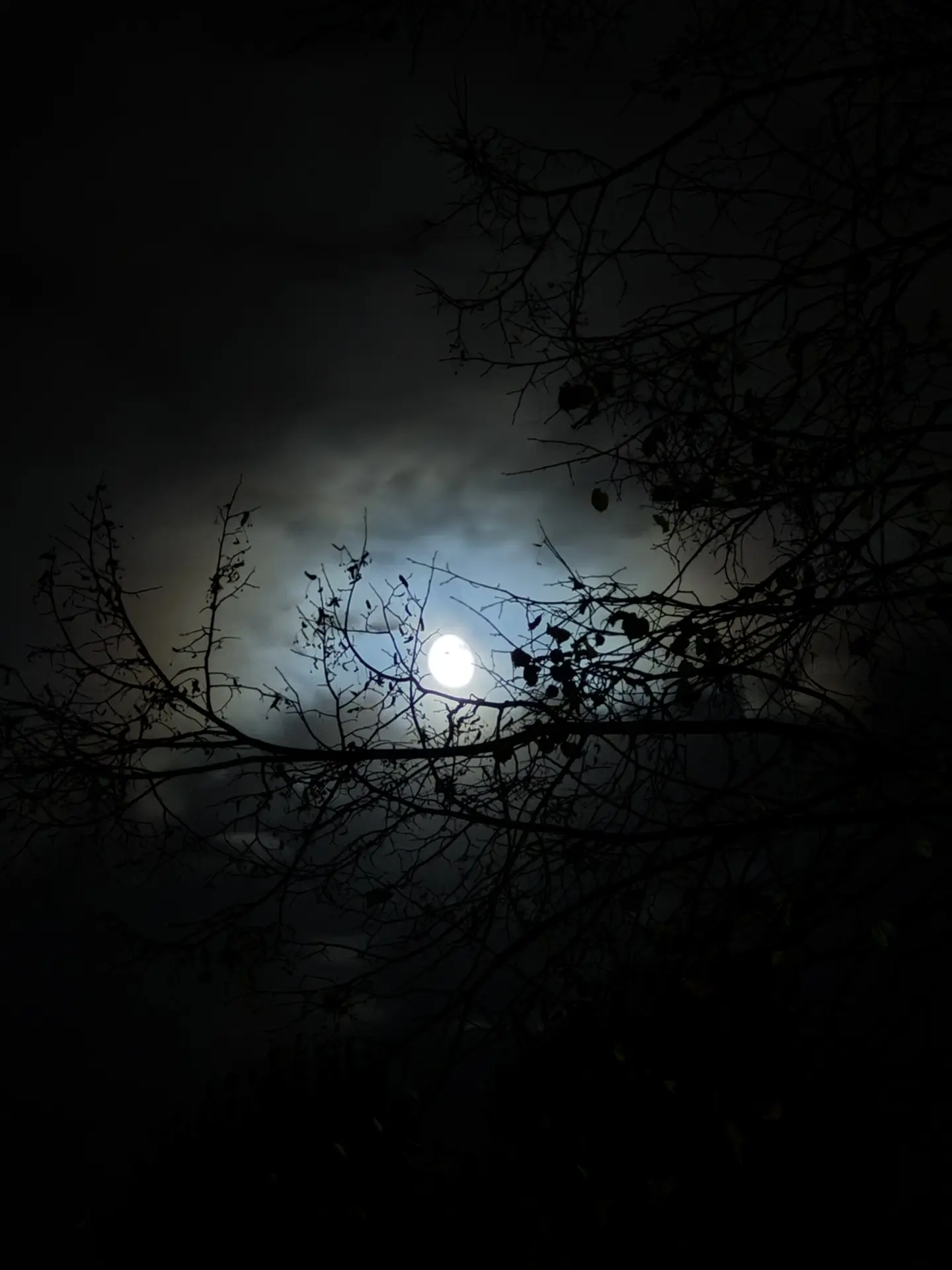 Мистическая луна 🌓