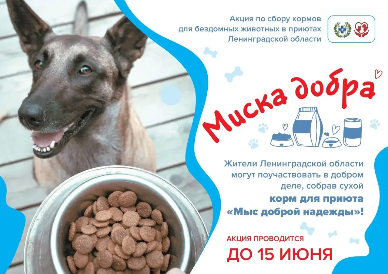Дорогие друзья! 🩷