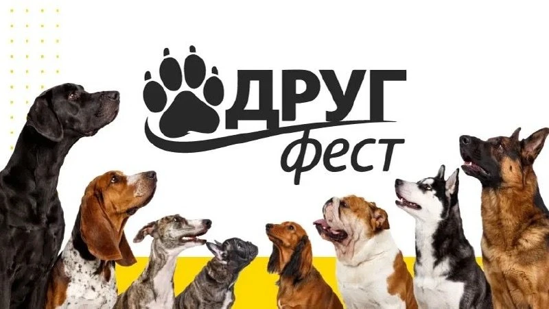🐾❤️ Завтра, 16 мая, в парке «Южный» случится маленькое чудо — фестиваль «Другфест»  Приюты Калинингр