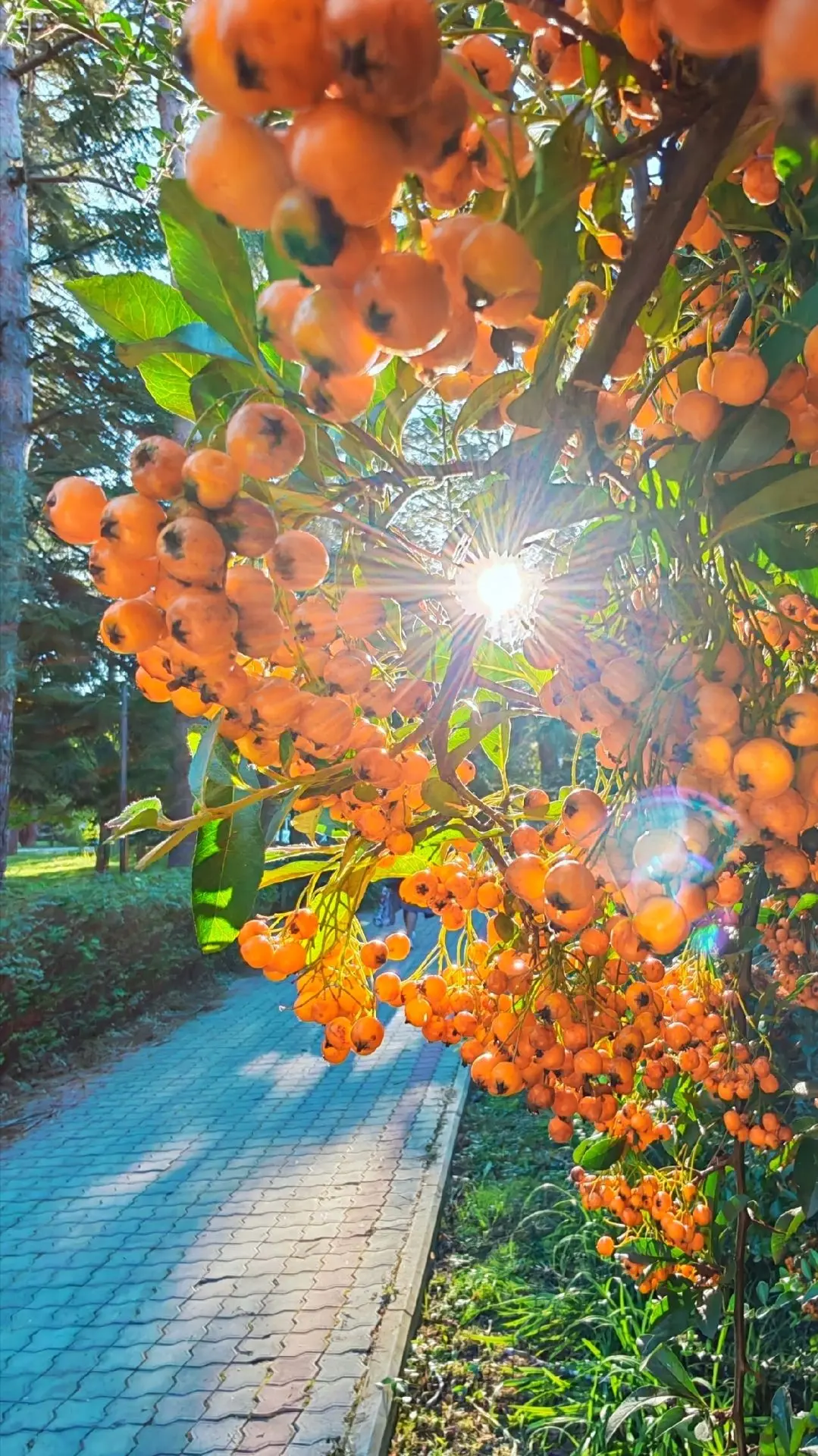 🍂 Доброе утро, Горячий Ключ!