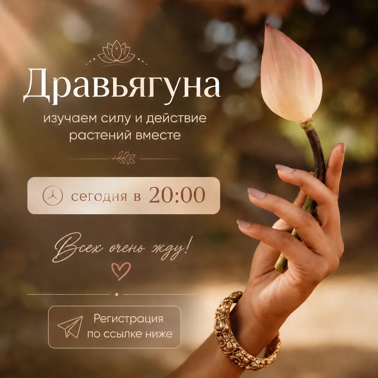 Сегодня в 20:00