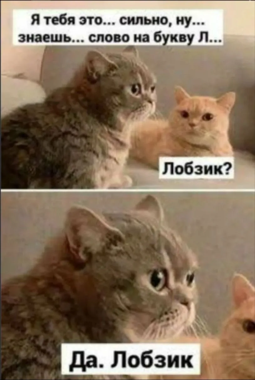 Всем доброе недальновидное