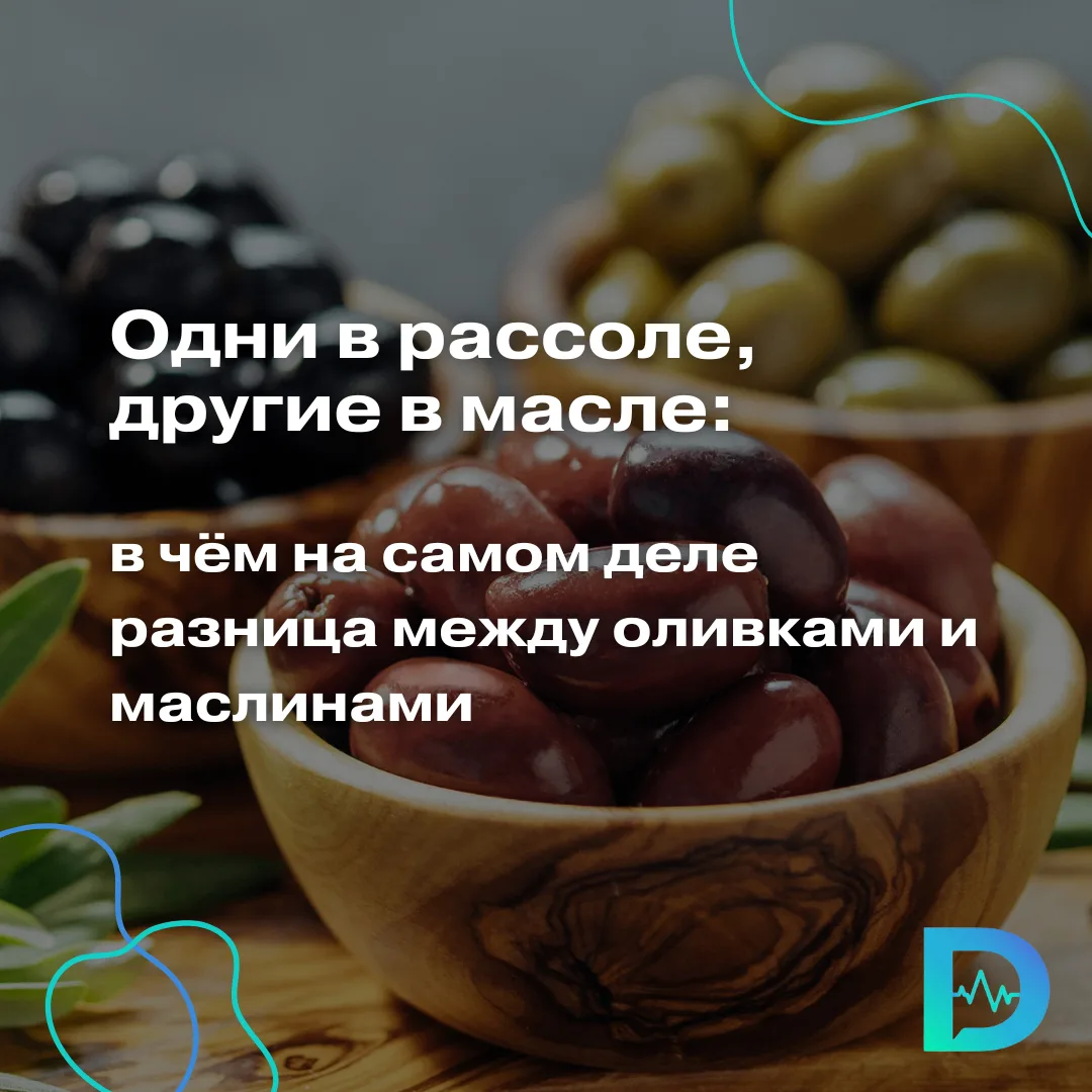 Оливки и маслины — это плоды одного и того же дерева, оливы европейской. Зелёные оливки собирают нед
