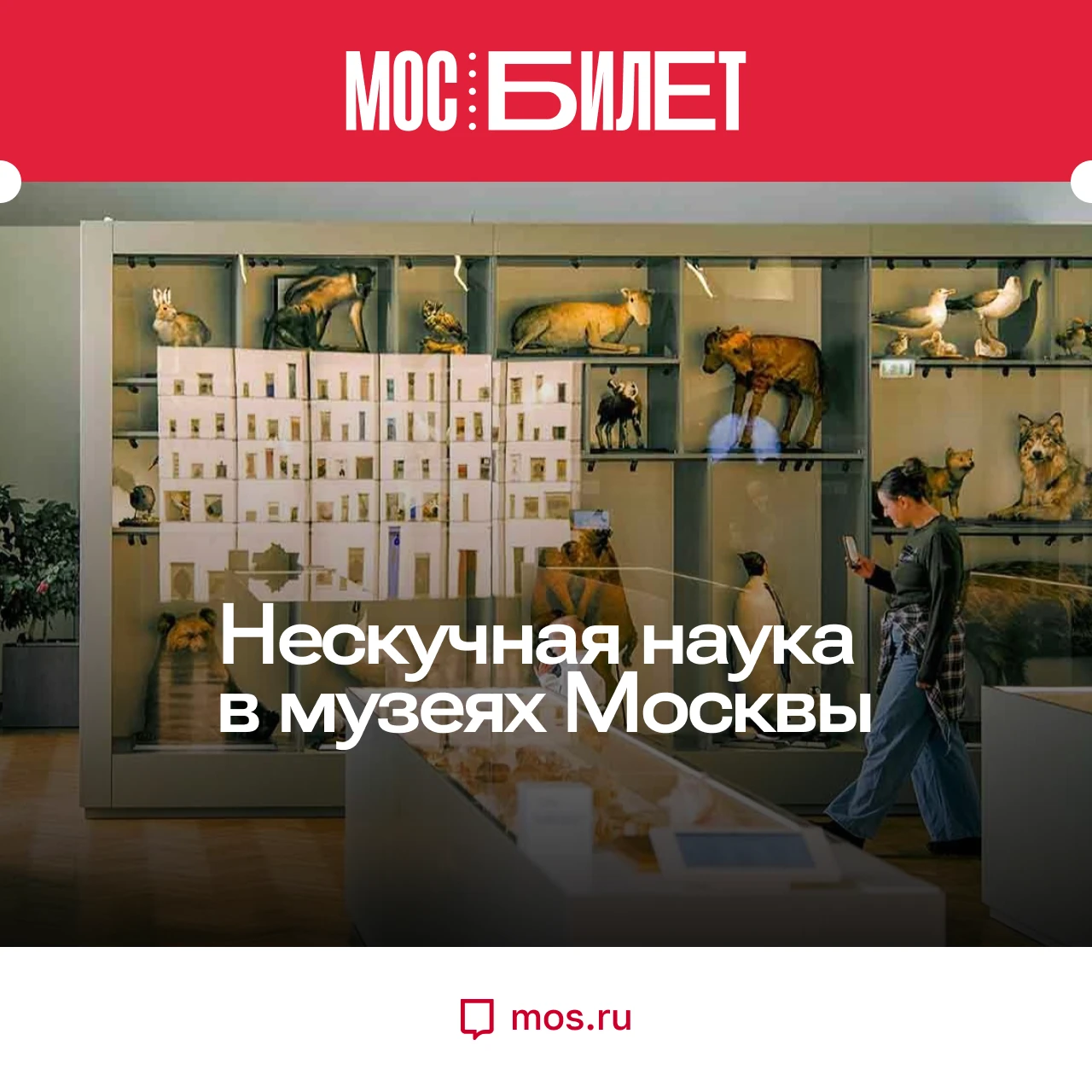🎟 Кератин, альтруизм, сайнс-арт и подлинные скафандры: «Мосбилет» собрал девять выстав...