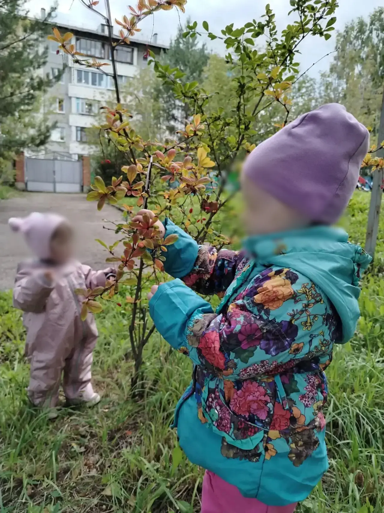 Осенняя прогулка🍁