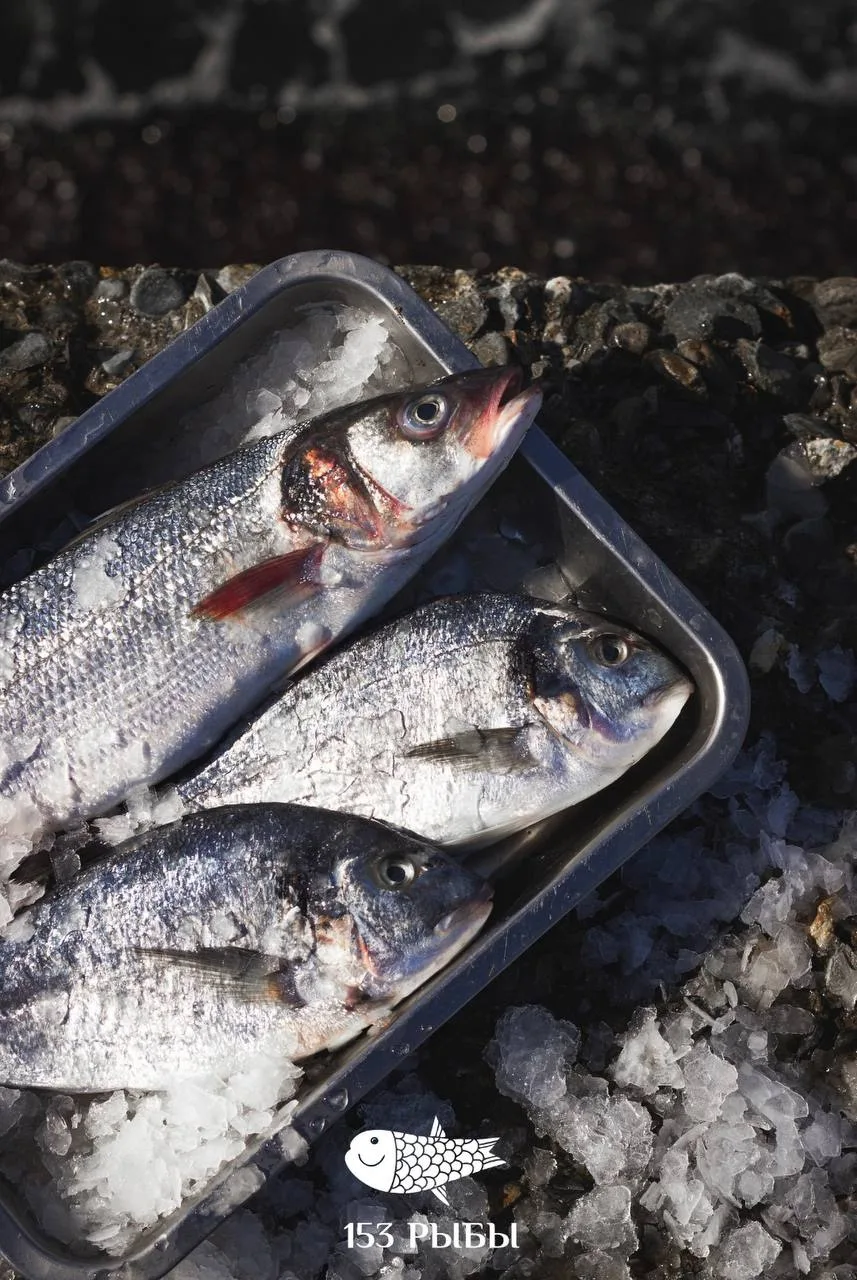 Понедельник начало недели, а значит самое время подумать о вкусном ужине 🐟

Сегодня у нас свежая ох