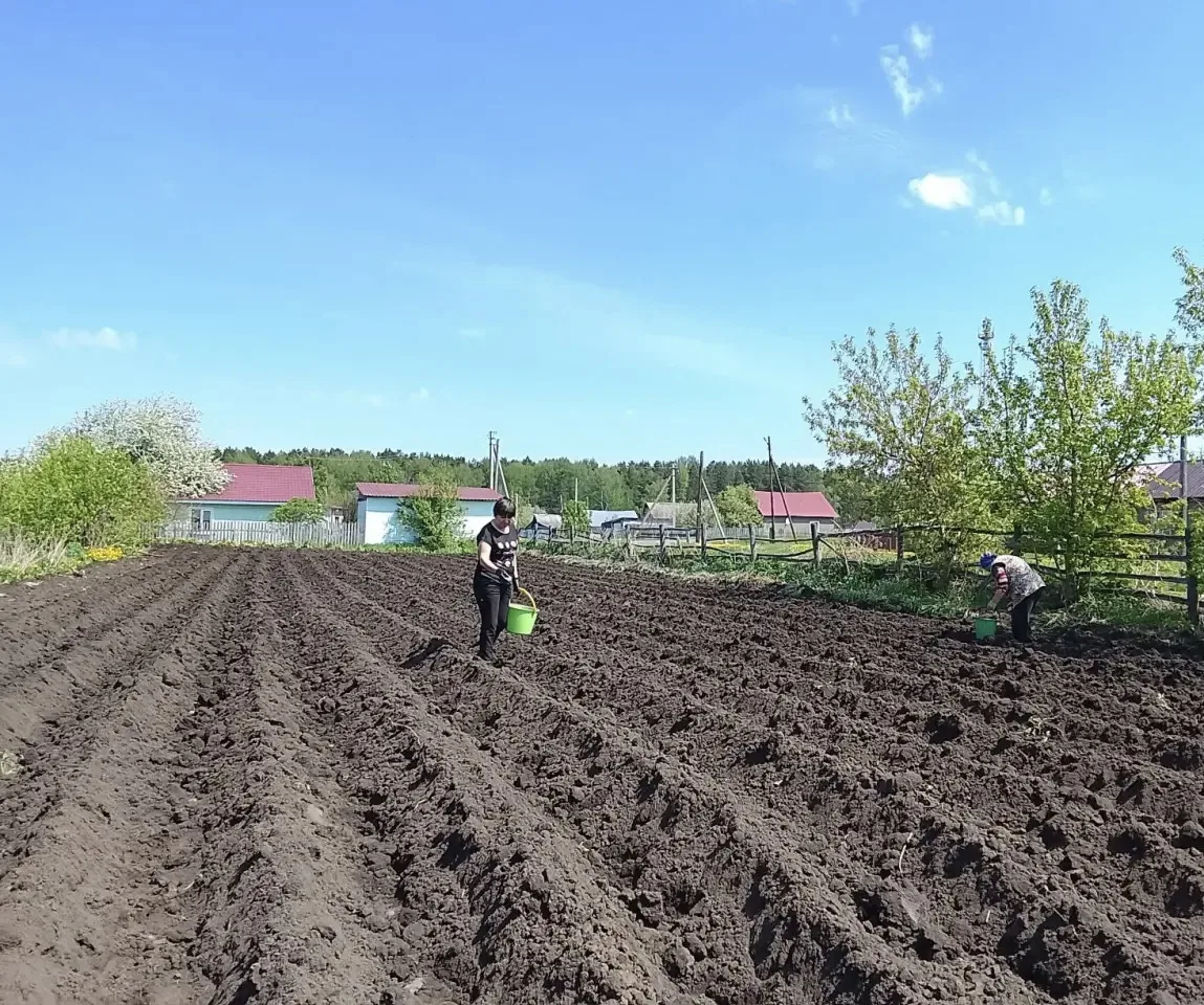 Социальные работники нашего Центра помогли пожилым людям с посадкой картофеля