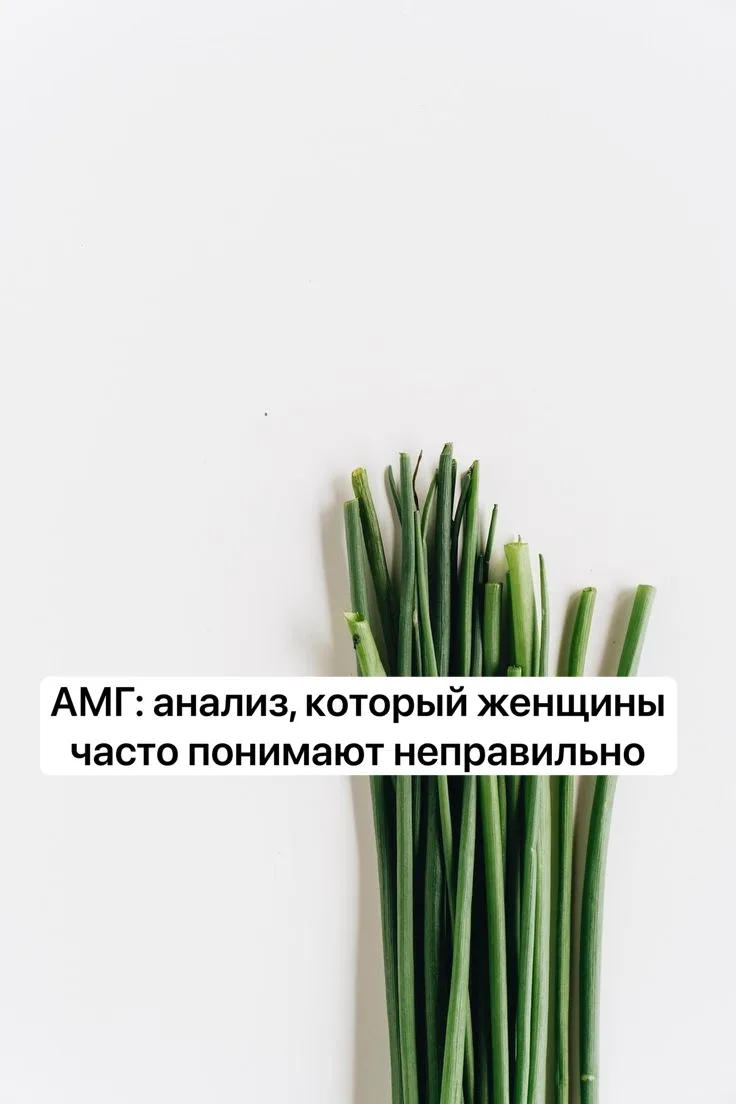 Сегодня поговорим про АМГ.