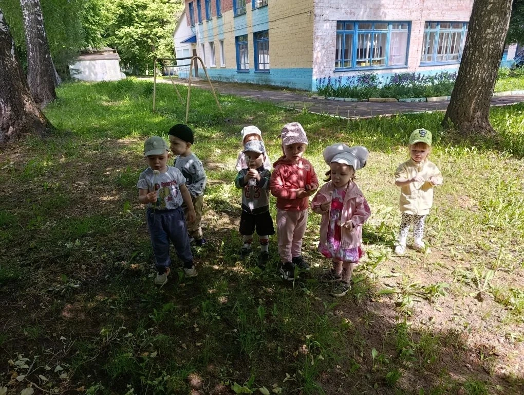🌼Малыши группы «Незабудки» с большим интересом наблюдают за удивительными превращениями одуванчиков